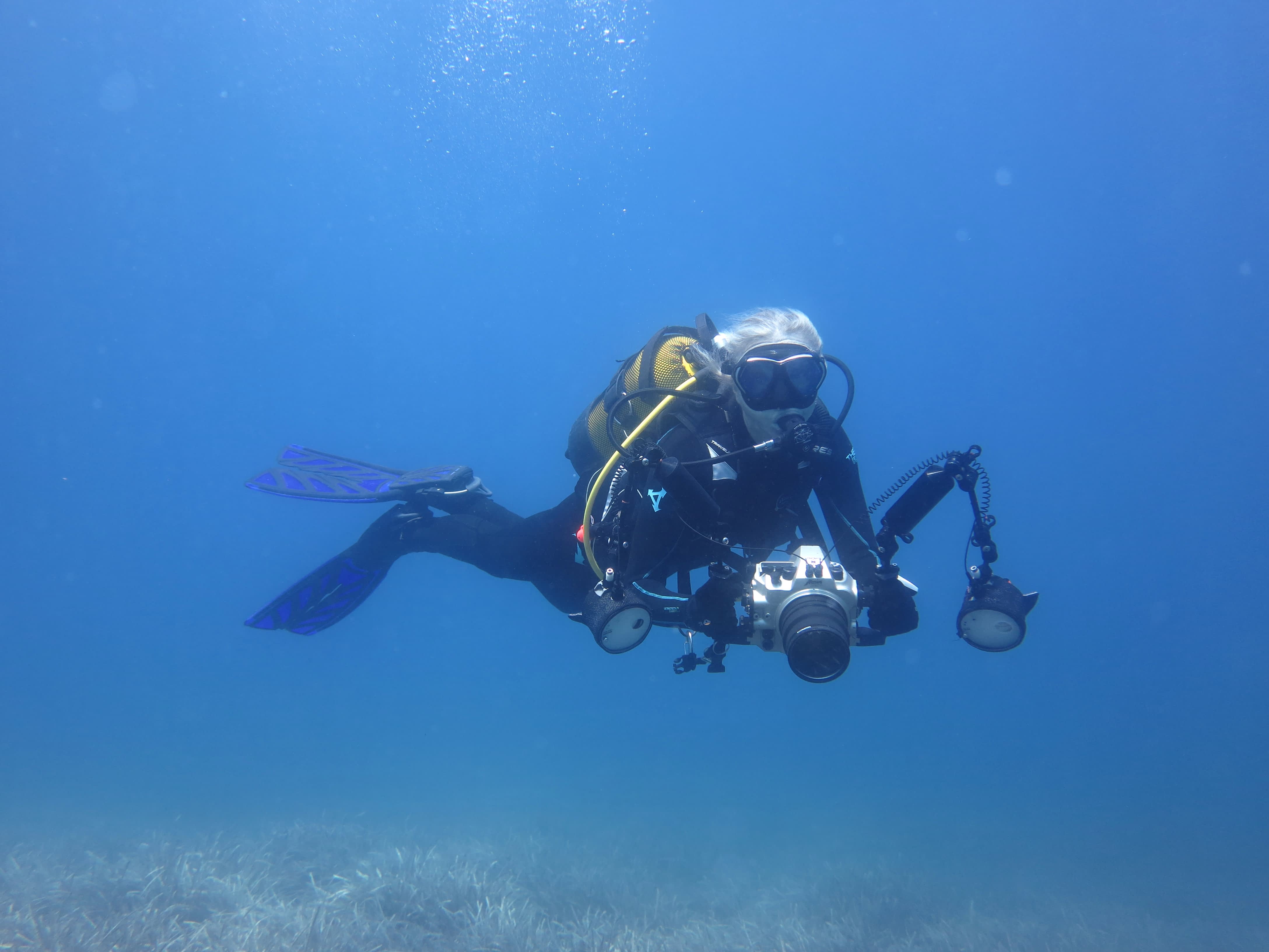 Dalış Gezi Etkinlikleri